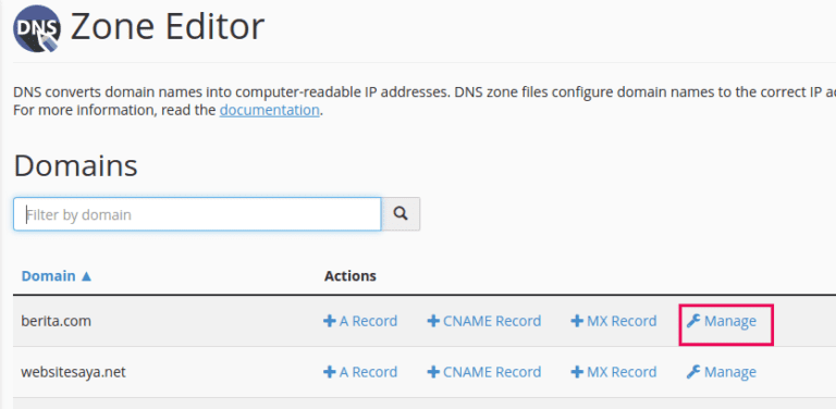 Cara Setting Dns Dengan Mudah Pada Cpanel Domainesia