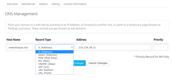 Cara Setting DNS Dan DNS Record Di Domain