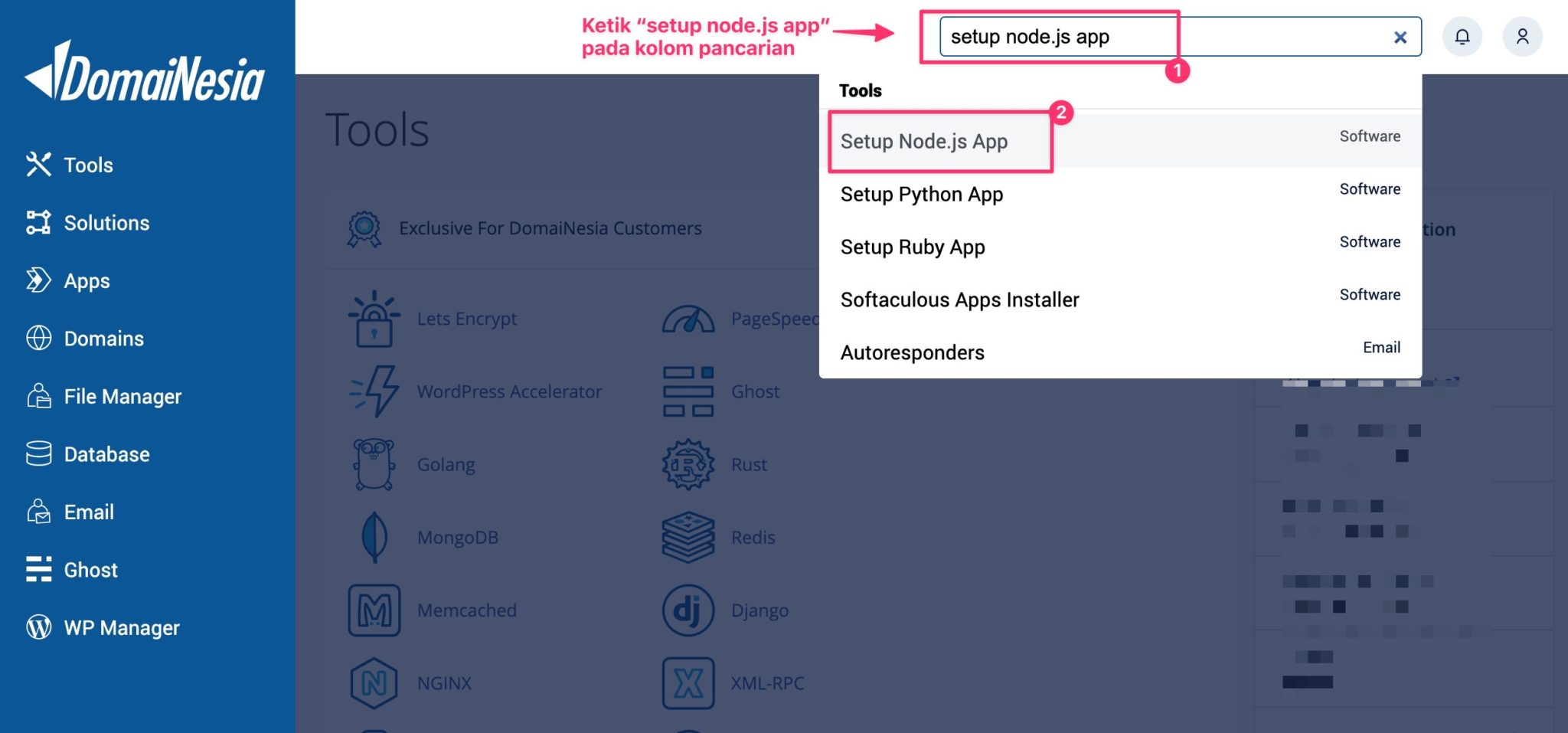 Cara Setting NodeJS Dengan PM2 Di Hosting - DomaiNesia